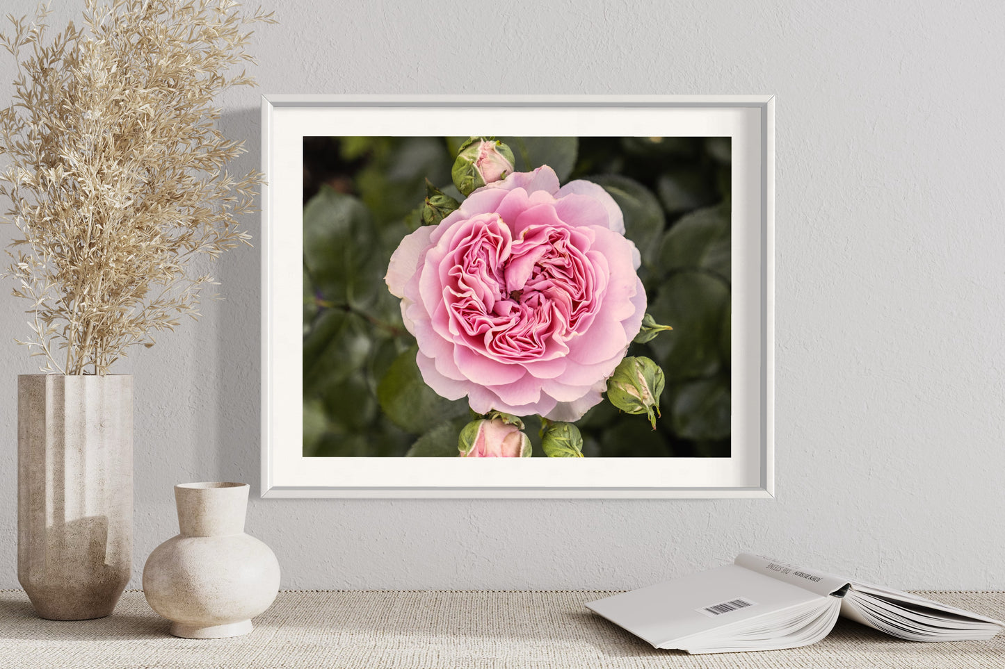 Pink Rose - Giclée Print on Hahnemühle German Etching paper