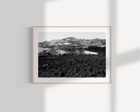 Tursi, countryside view - Fine Art Photography print - Giclée print on Hahnemühle German Etching paper