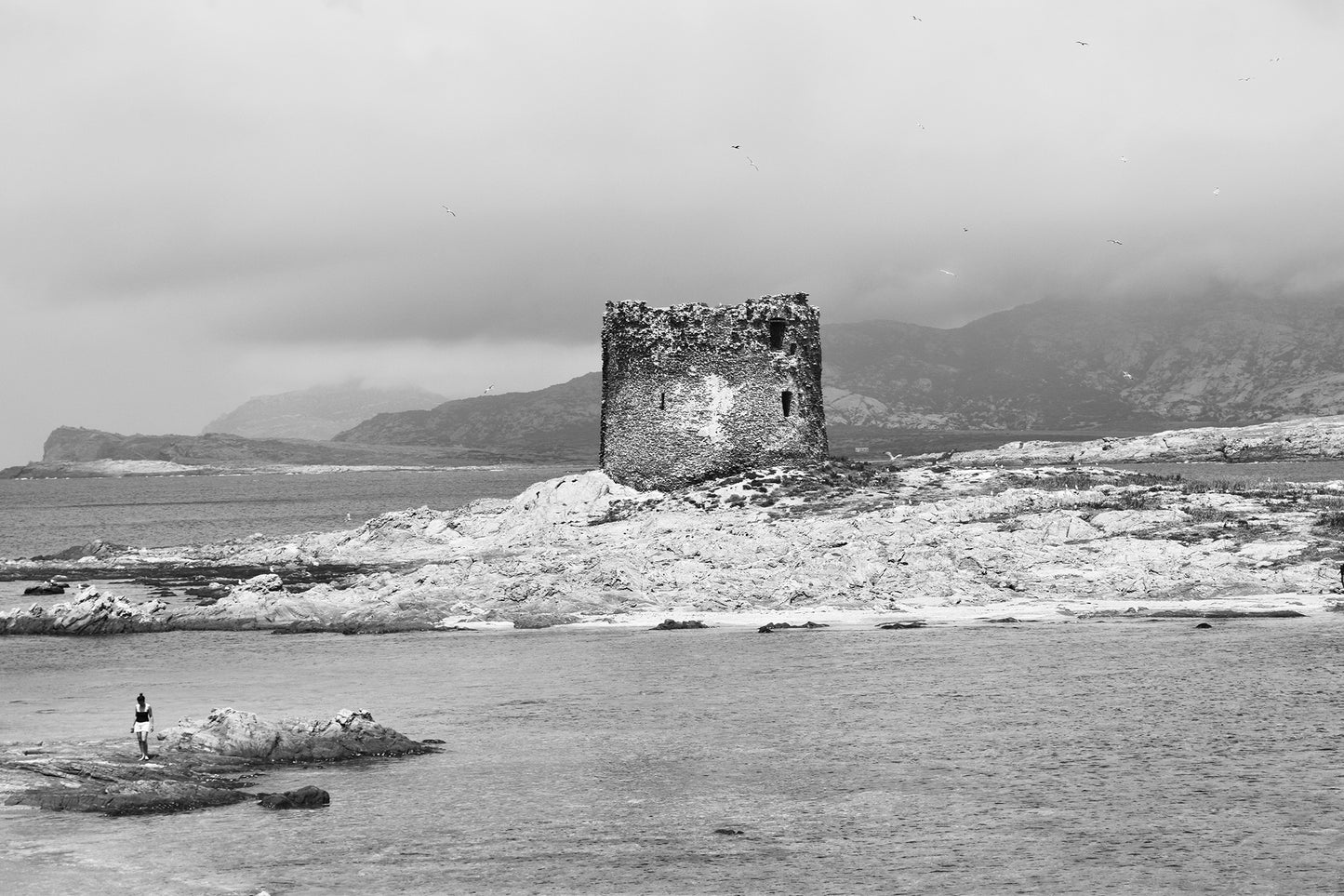 Torre della Pelosa, Sardinia Giclée print